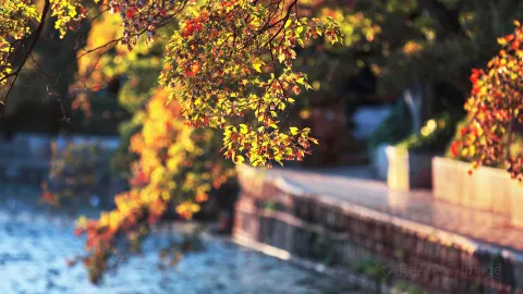 The Green Lake Park attraction in Kunming