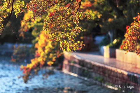 The Green Lake Park
