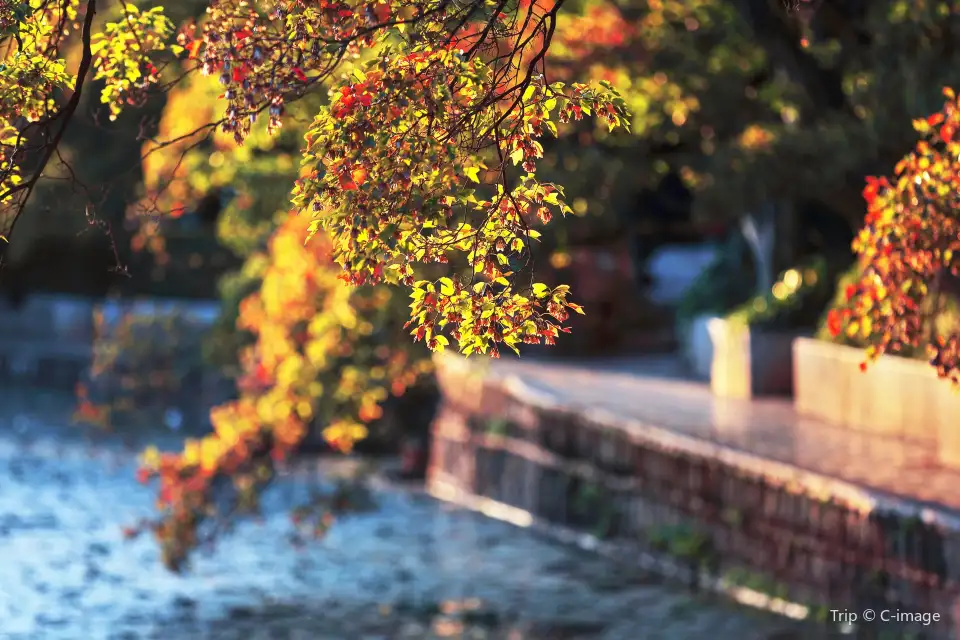 5_The Green Lake Park
