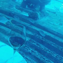 OSSIANO UNDERWATER RESTAURANT & BAR User Photo