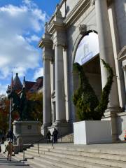 Museo Americano de Historia Natural