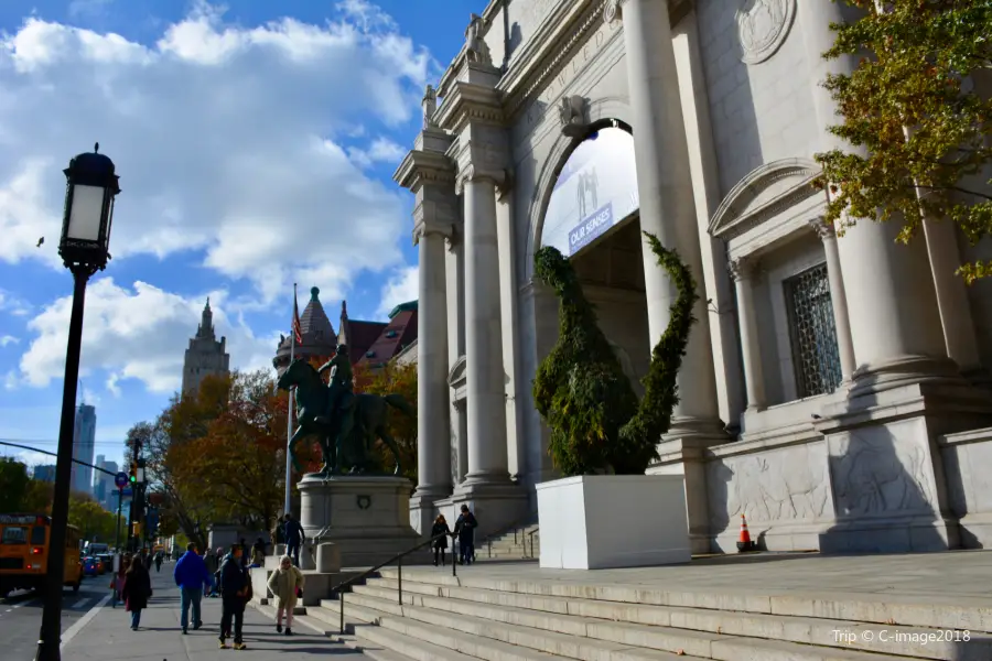 Museo Americano de Historia Natural