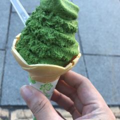 사와와 오타루점 여행 사진