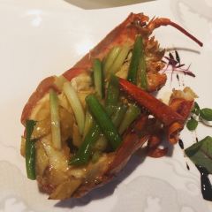 Jade Dragon User Photo