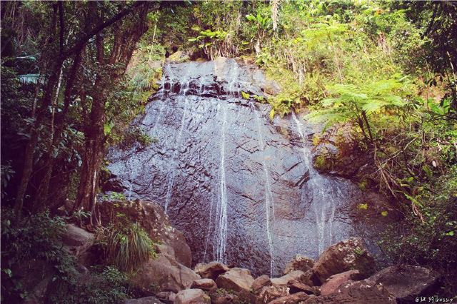 The El Yunque National Forest