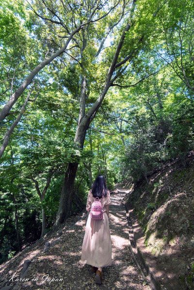若草山位於奈良東部，高約350米，在半山腰或者山頂的觀景台可