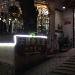 黄姚大樟树农庄 User Photo