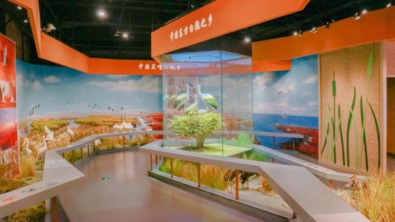 Yellow River Delta Bird Museum