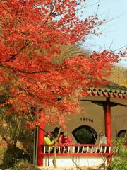 Taohuashan Pavilion