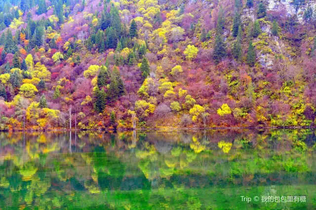 Fall Leaves Viewing in Heishui