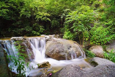 Taiji Gorge Scenic Area