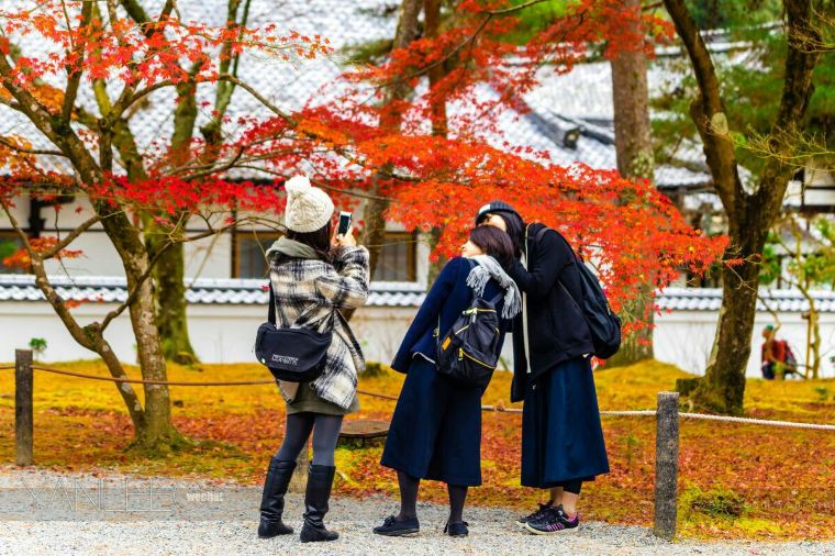 Kyoto Weather Conclusion