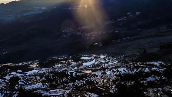 Yuanyang