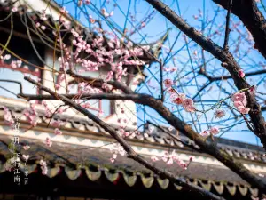 Lingering Garden(Liuyuan Garden)