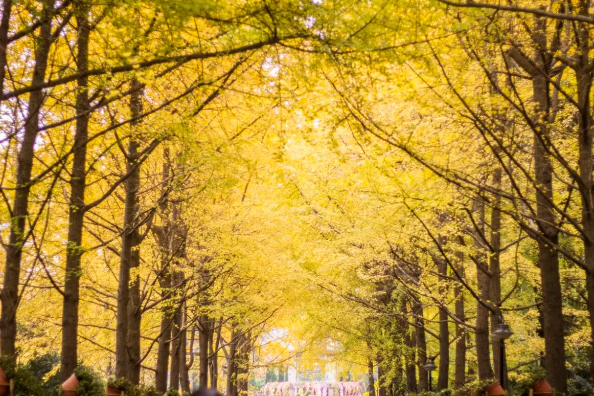 1_Chengdu People's Park