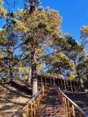 하이라얼 서산국립삼림공원