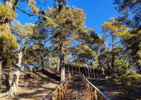 Hailar National Forest Park