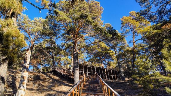 Hailar National Forest Park