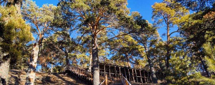 Hailar National Forest Park