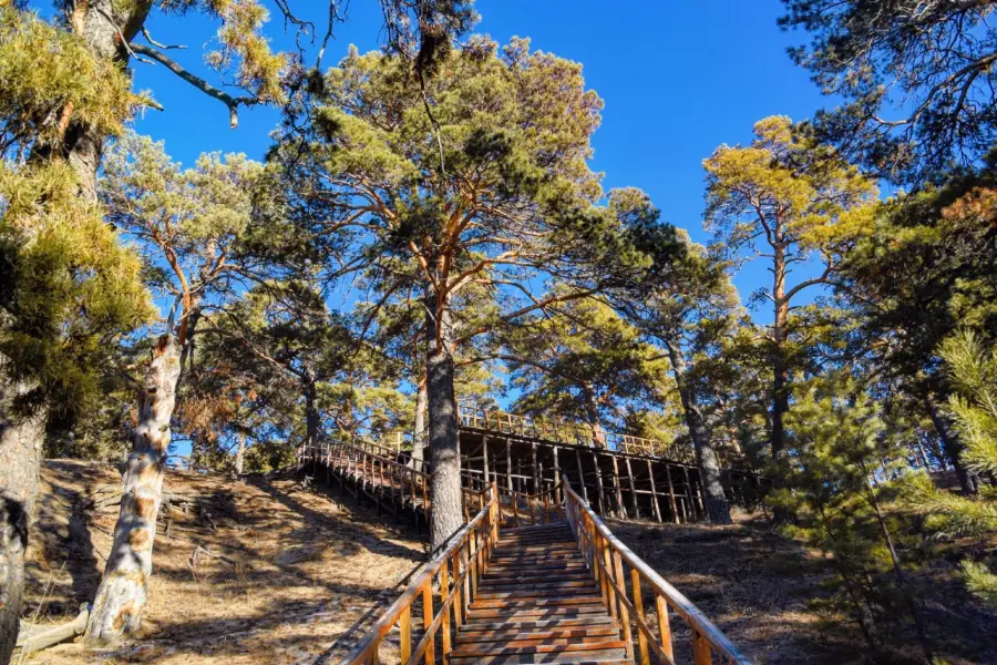 海拉爾國家森林公園