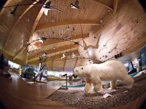 Museo Svalbard