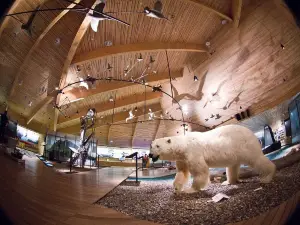 Svalbard Museum