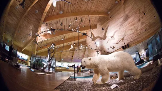 Svalbard Museum