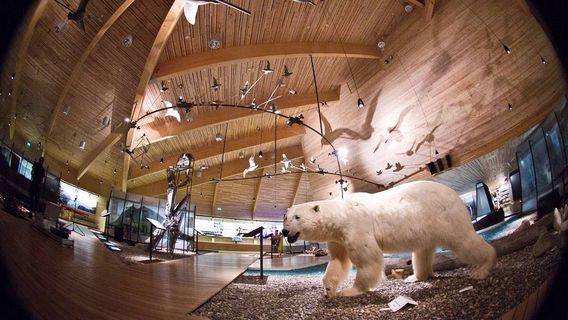 Svalbard Museum