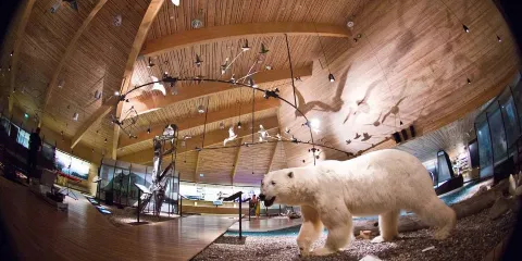 斯瓦爾巴博物館