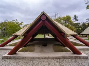 大地湾博物館