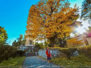 The Chongsheng Temple And The Three-Pagoda Culture Tourist Area