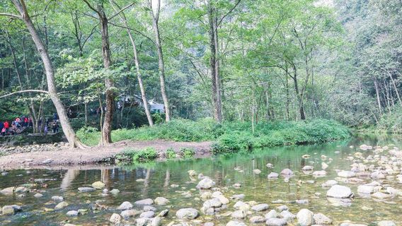 張家界日遊