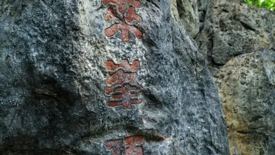 ทัวร์ครึ่งวันทะเลสาบตะวันตกหางโจวพร้อม ไกด์นำเที่ยว ภาษาต่างประเทศ (อังกฤษ ฝรั่งเศส รัสเซีย ญี่ปุ่น และไทย)|ทัวร์ 1 วัน ไปยังสถานที่ท่องเที่ยวที่ห้ามพลาดของเมืองหางโจว ได้แก่ ทะเลสาบตะวันตก เจดีย์ Leifeng สามบึงส่องจันทร์ ไกด์นำเที่ยว Yue