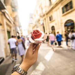 Amorino Malta User Photo