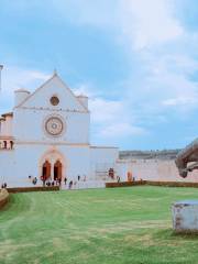 Basilica Papale di San Francesco