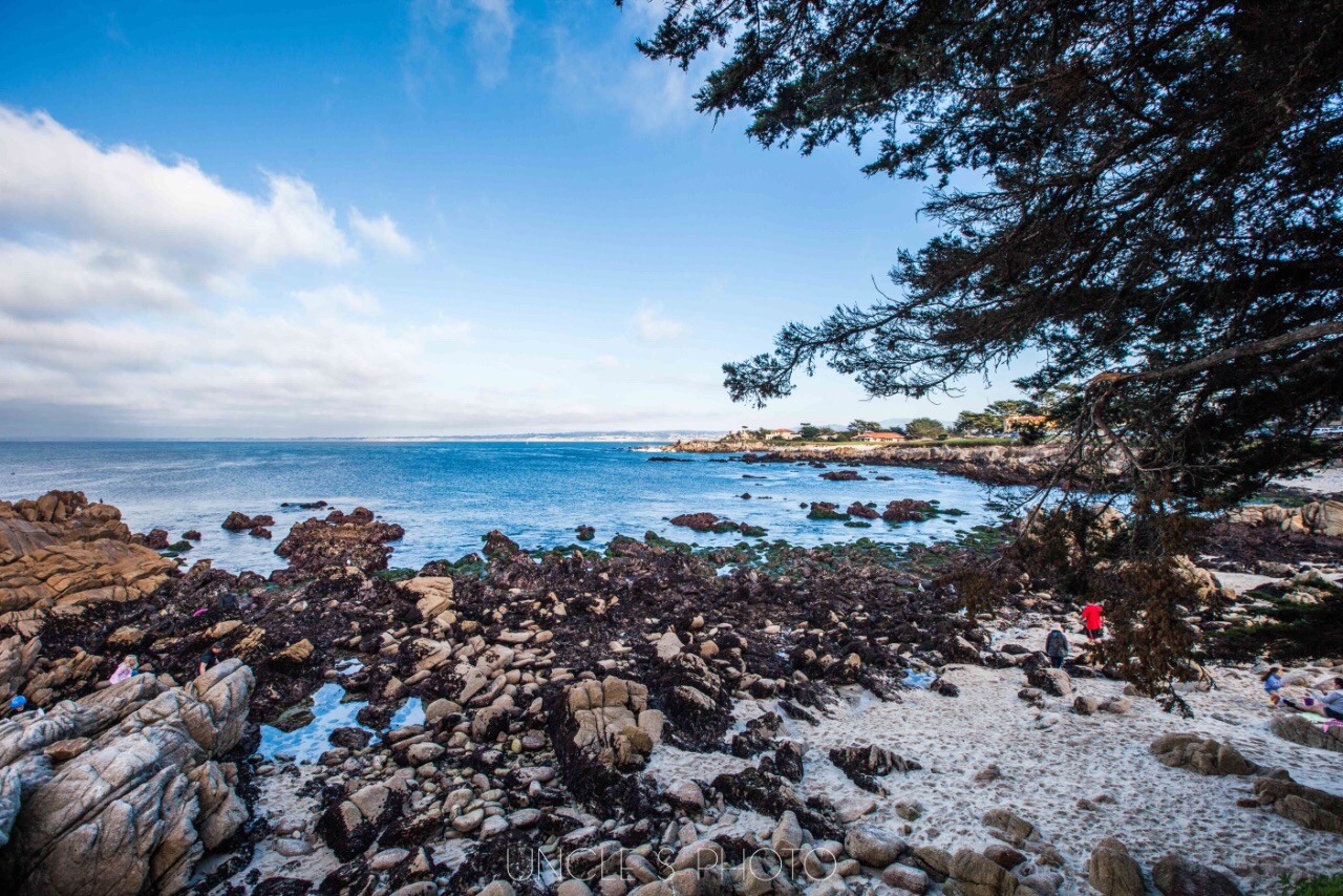 Monterey