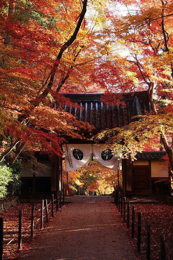 笠置山もみじ公園 Attraction Reviews 笠置山もみじ公園 Tickets 笠置山もみじ公園 Discounts 笠置山もみじ公園 Transportation Address Opening Hours Attractions Hotels And Food Near 笠置山もみじ公園 Trip Com 笠置山もみじ公園 Attraction Reviews 笠置山もみじ公園 Tickets 笠置山もみじ公園 Discounts 笠置山もみじ公園 Transportation Address Opening Hours Attractions Hotels And Food Near 笠置山もみじ公園 Trip Com