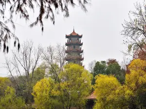Jiefang Park