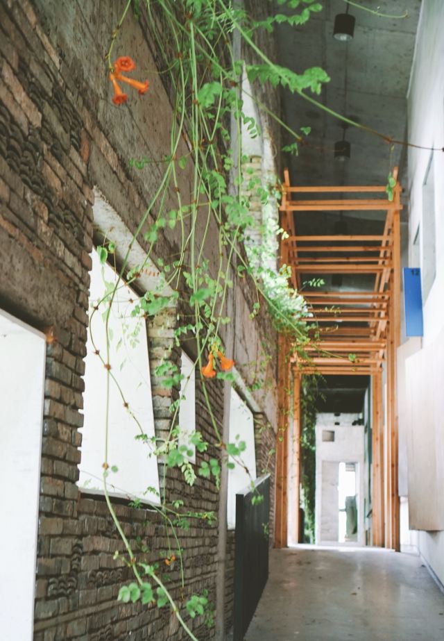 중국미술대학교 샹산캠퍼스