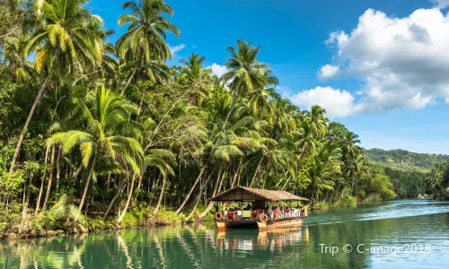 Pulo ng Bohol