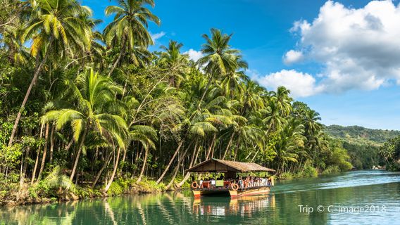 Bohol Island