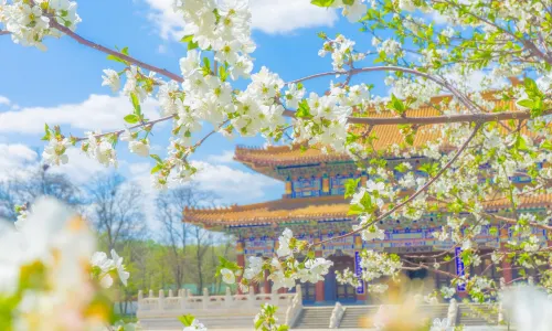 Jade Buddha Palace