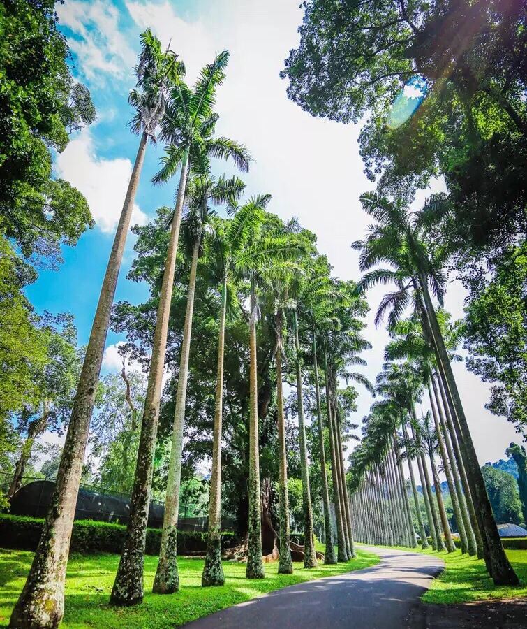 Peradeniya