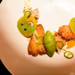 Fish Company User Photo