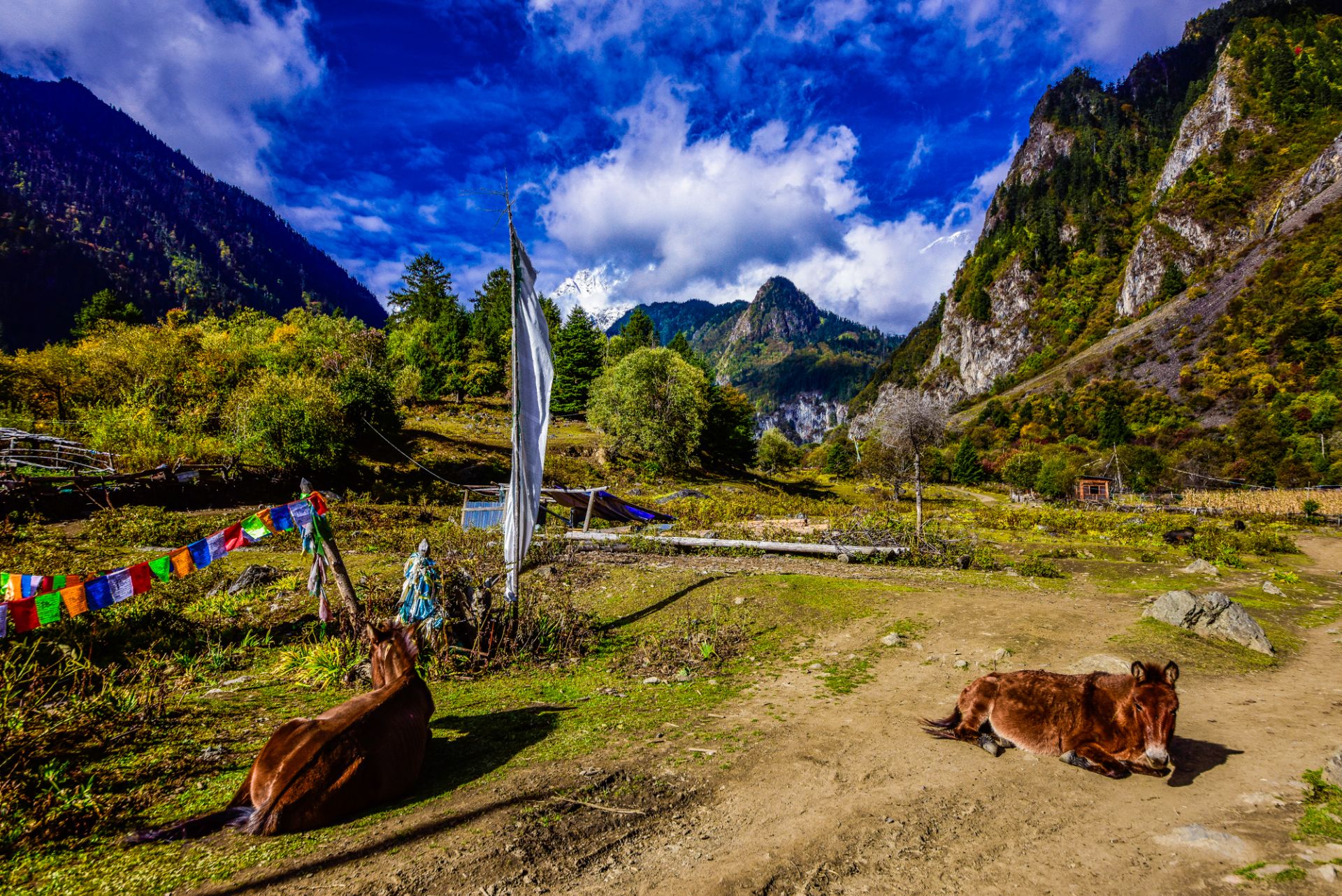 雨崩村旅遊攻略指南 雨崩村評價 雨崩村附近推薦 Trip Com 雨崩村旅遊攻略指南 雨崩村評價 雨崩村附近推薦 Trip Com