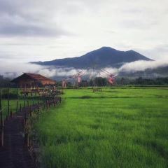 Brandnew Field Good User Photo