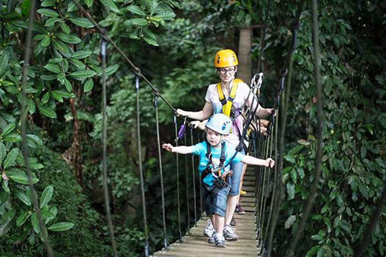  Flight of the Gibbon: Zipline Fun Near Bangkok