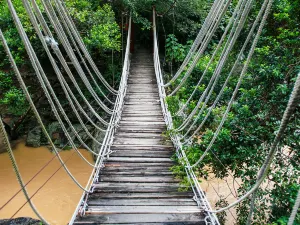 Hainan Tropical Rainforest National Park Wuzhi Mount