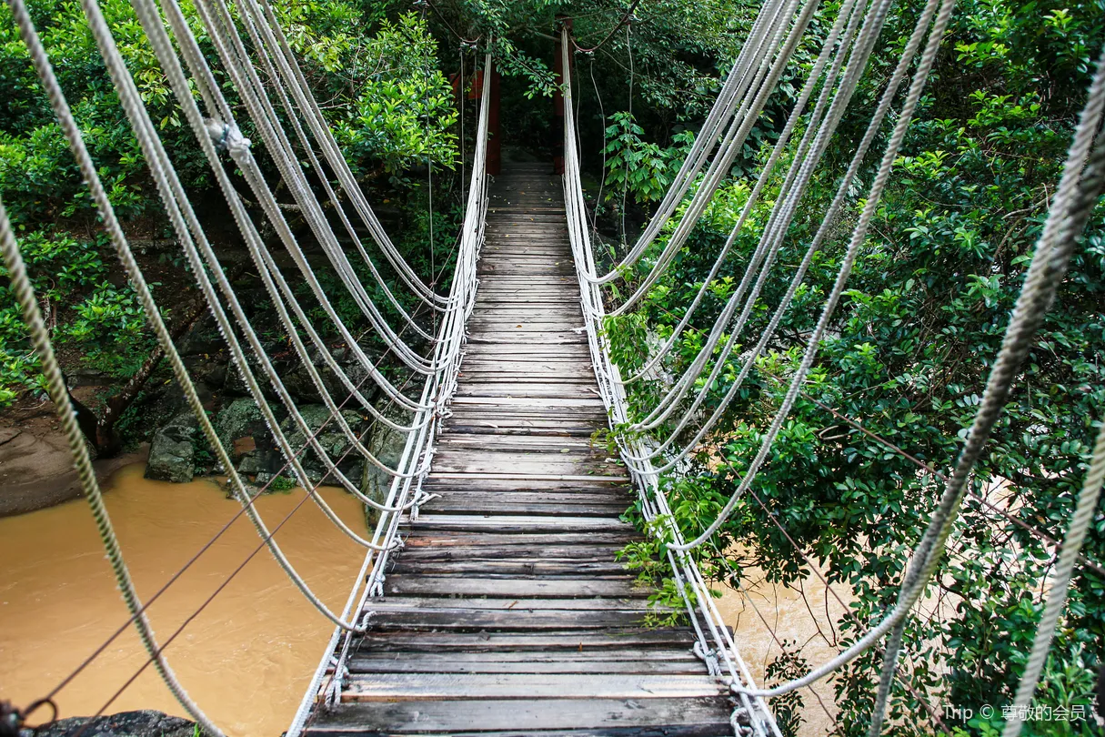 3_อุทยานแห่งชาติป่าฝนเขตร้อนไห่หนานภูเขาอู๋จื่อซาน