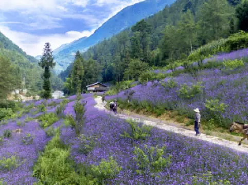 バサングランドキャニオン